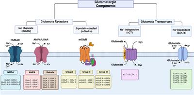 Glutamatergic system components as potential biomarkers and therapeutic targets in cancer in non-neural organs